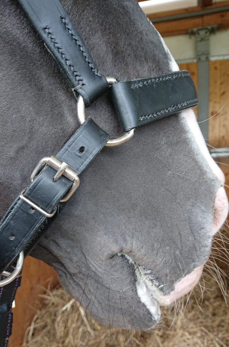 Kolumbianisches Bosal MRS