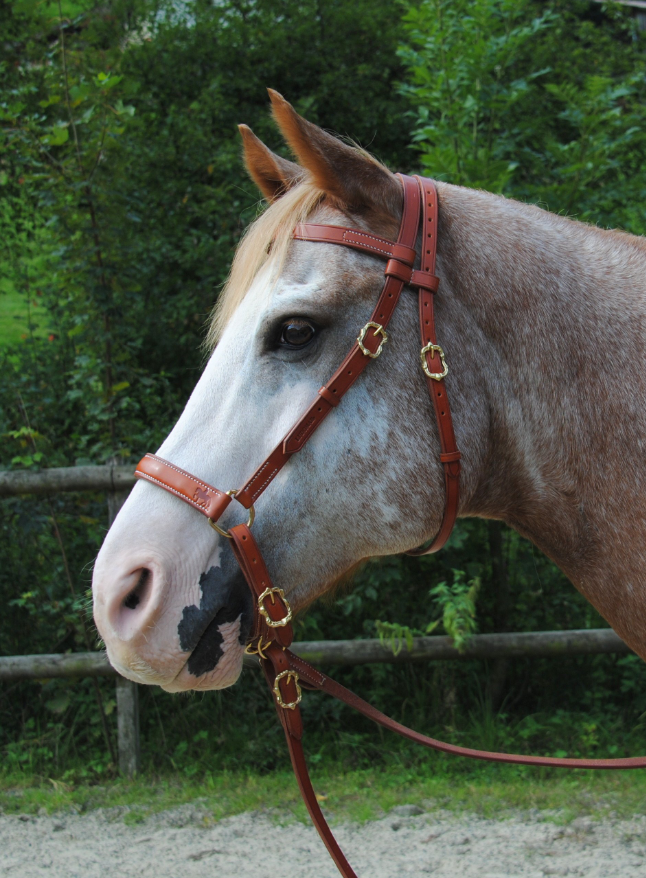 Kolumbianisches Bosal MRS