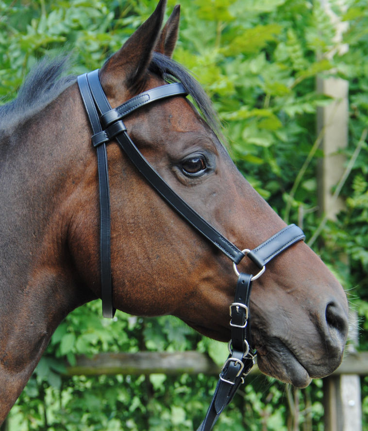 Kolumbianisches Bosal MRS
