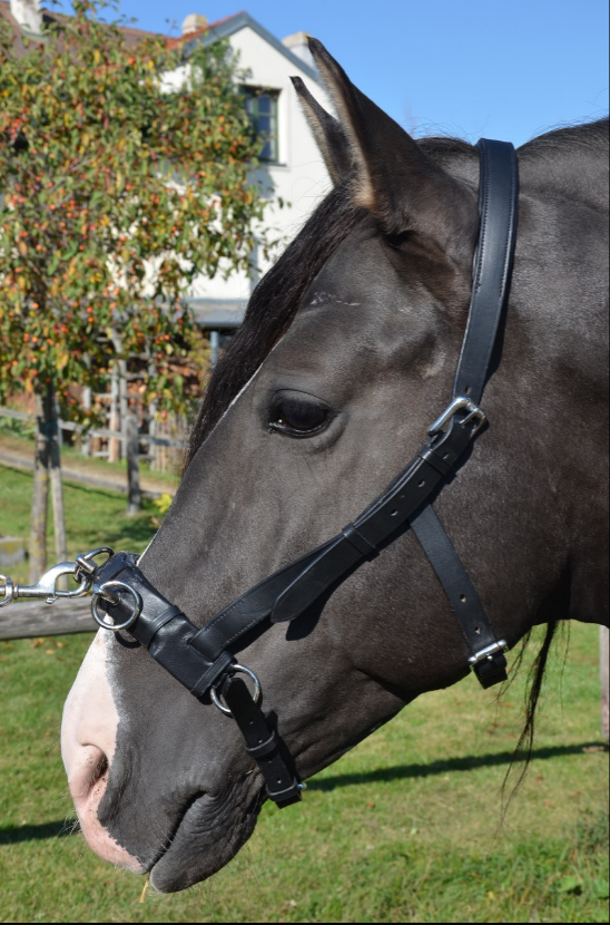 Kappzaum Pure Classic MRS Wien