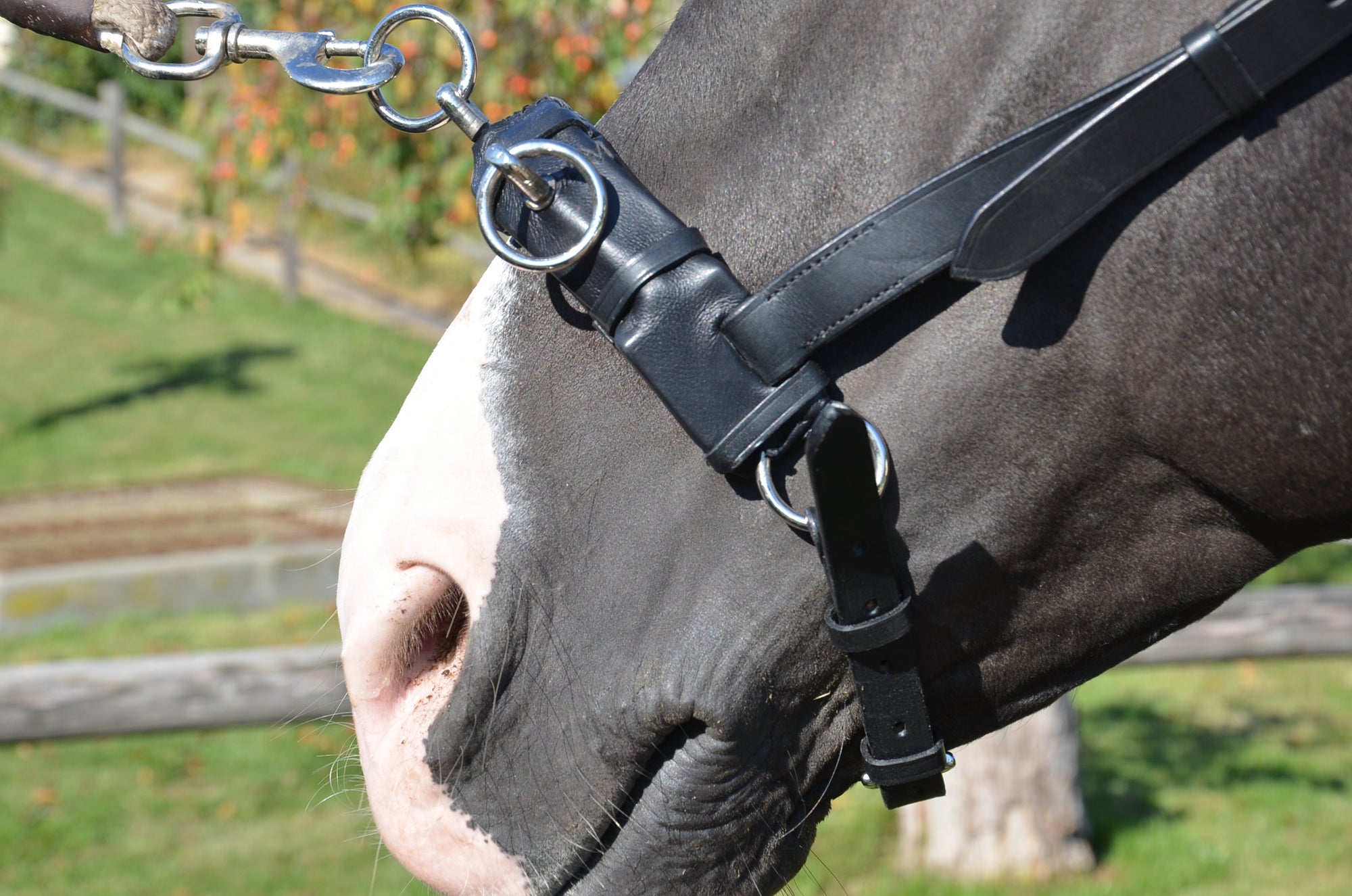 Kappzaum Pure Classic MRS Wien