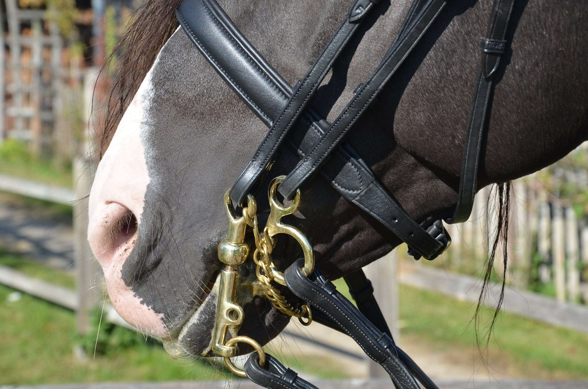 Reitzaum Pure Classic MRS "3 in ONE"