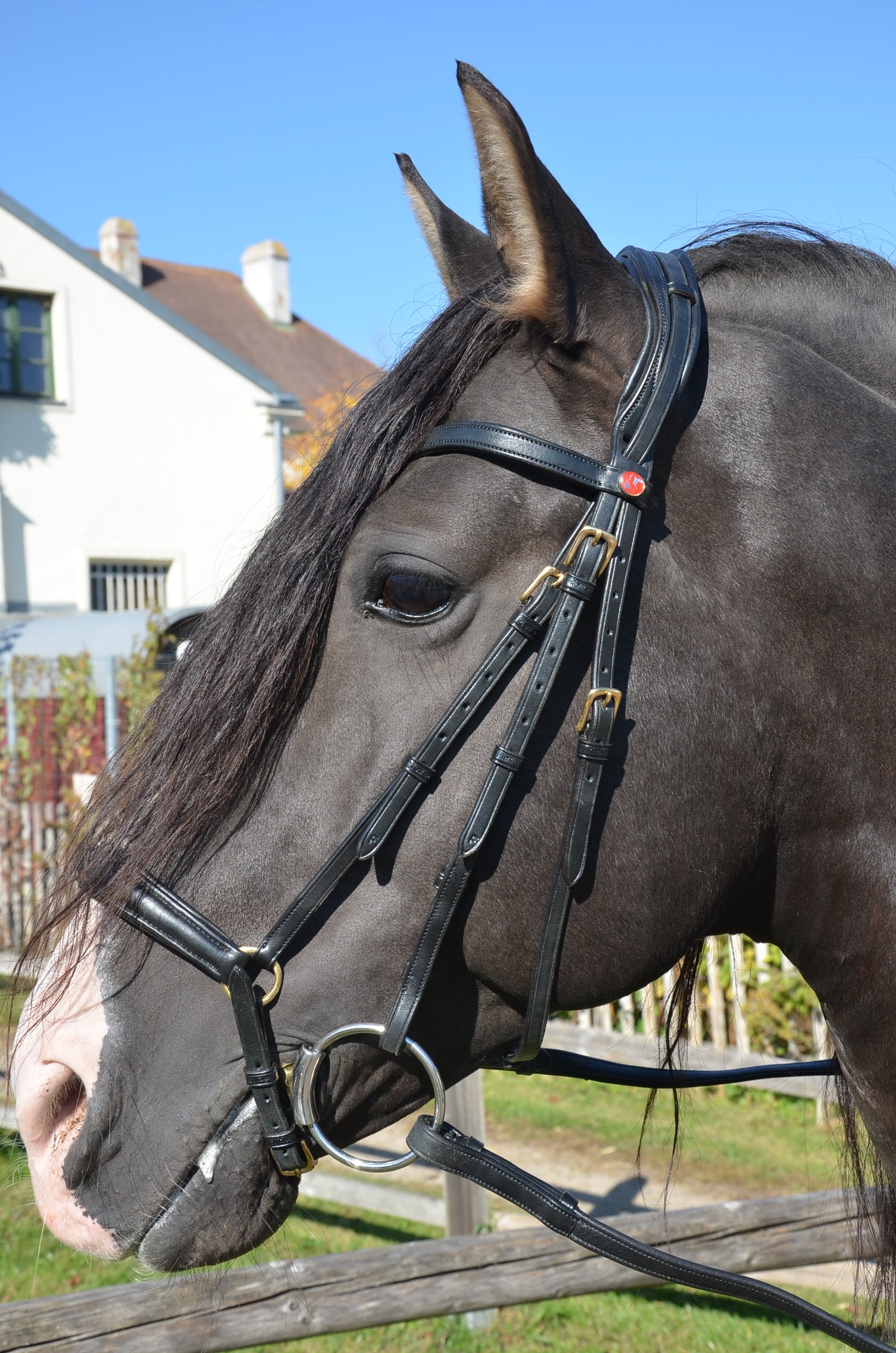 Reitzaum Pure Classic MRS "3 in ONE"