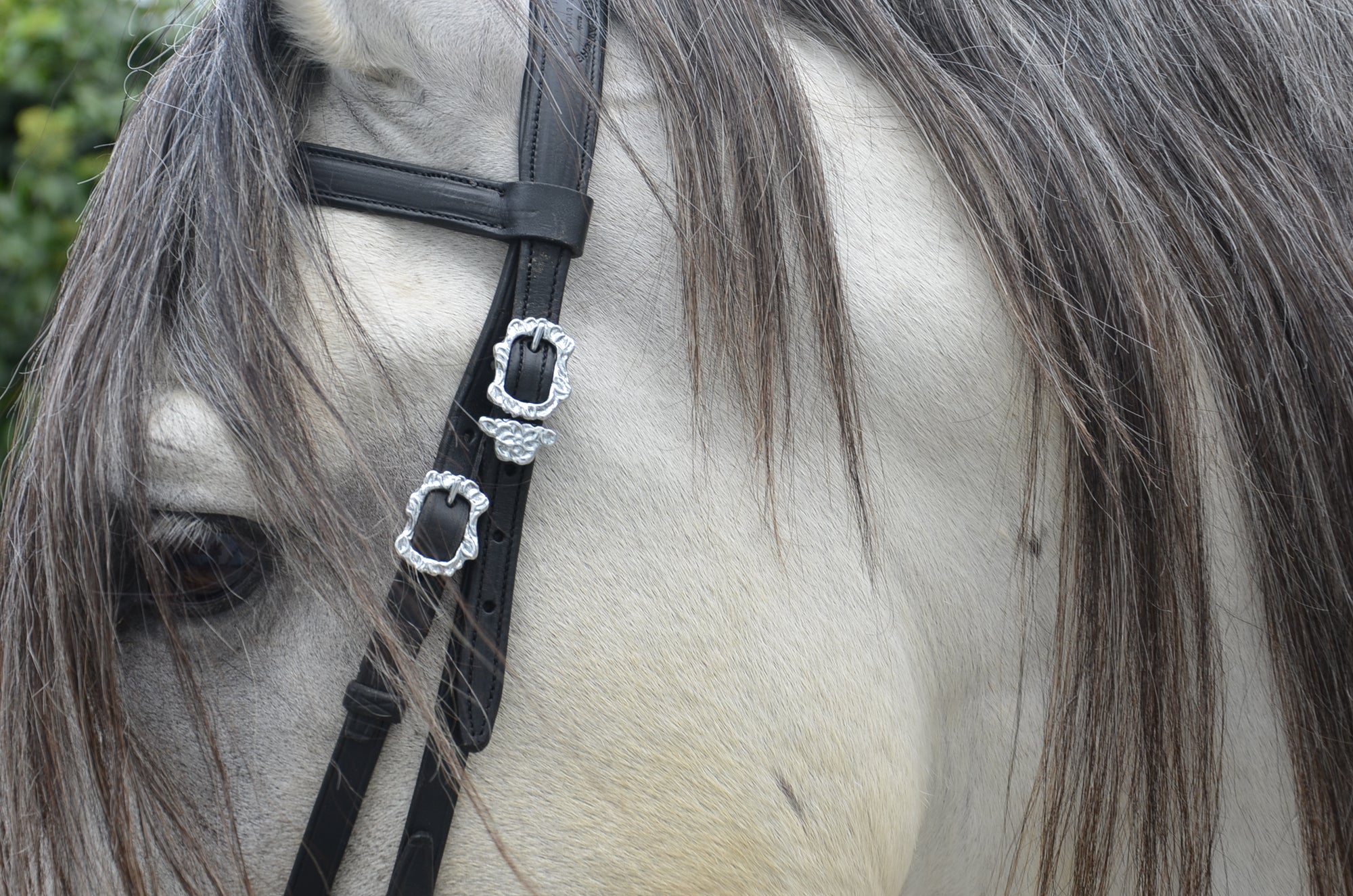 Trensenzaum Jerez MRS