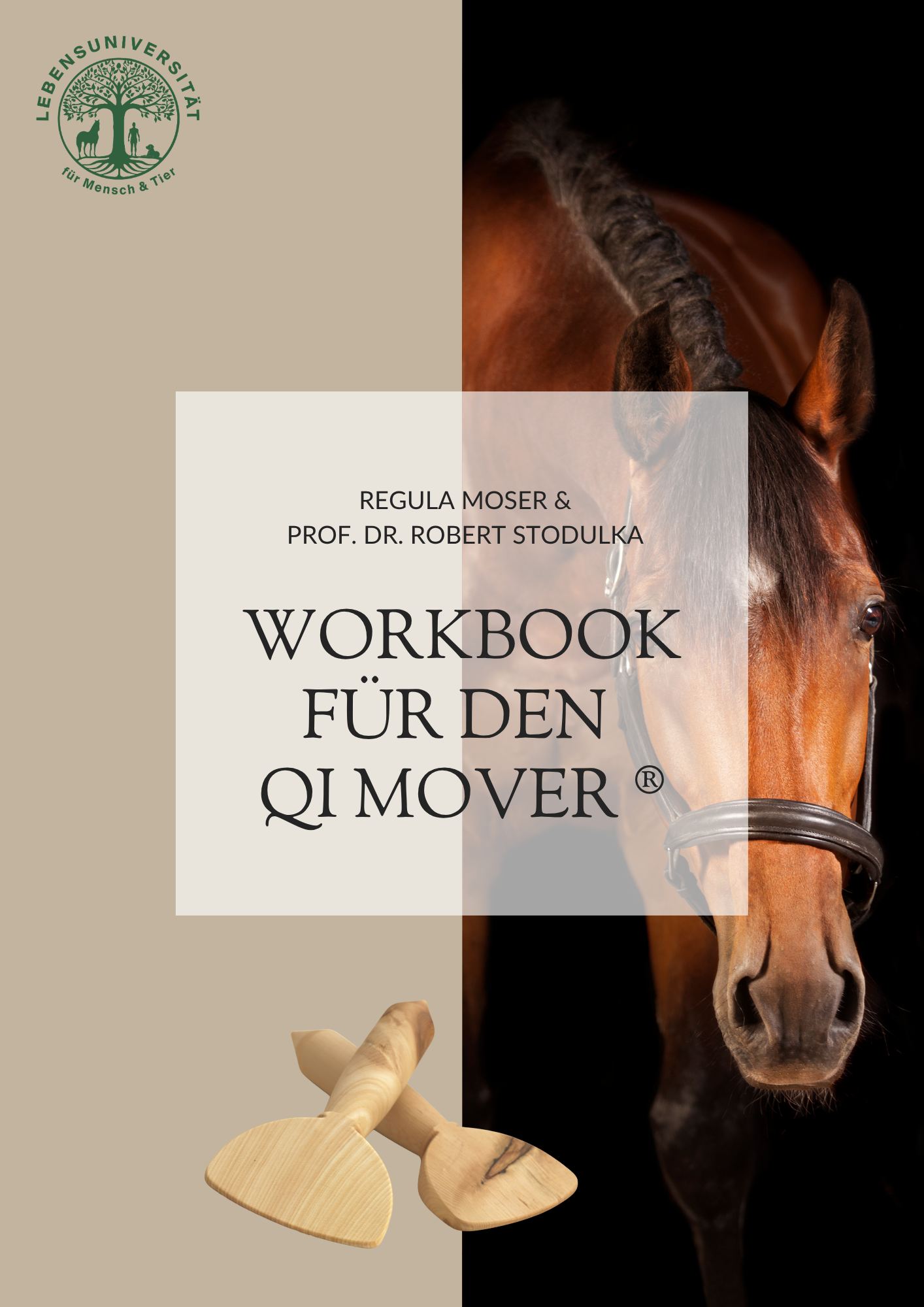 WORKBOOK für den QI Mover ®